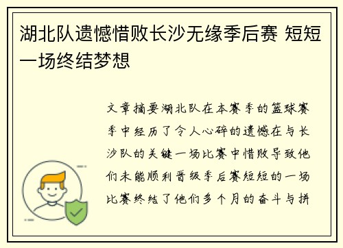 湖北队遗憾惜败长沙无缘季后赛 短短一场终结梦想